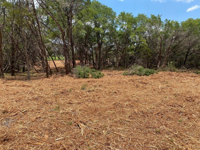 Land Clearing Services in Buda, TX
