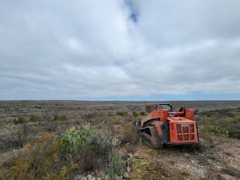 Land Clearing Services in Austin, Texas